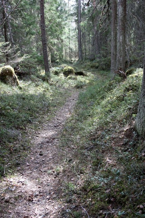 Gökottevandring Gökottevandring