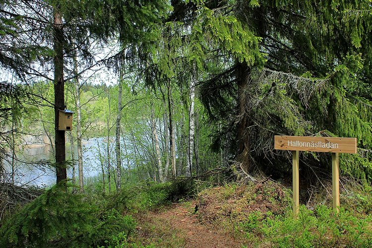 Vandringsretreat Vandringsretreat