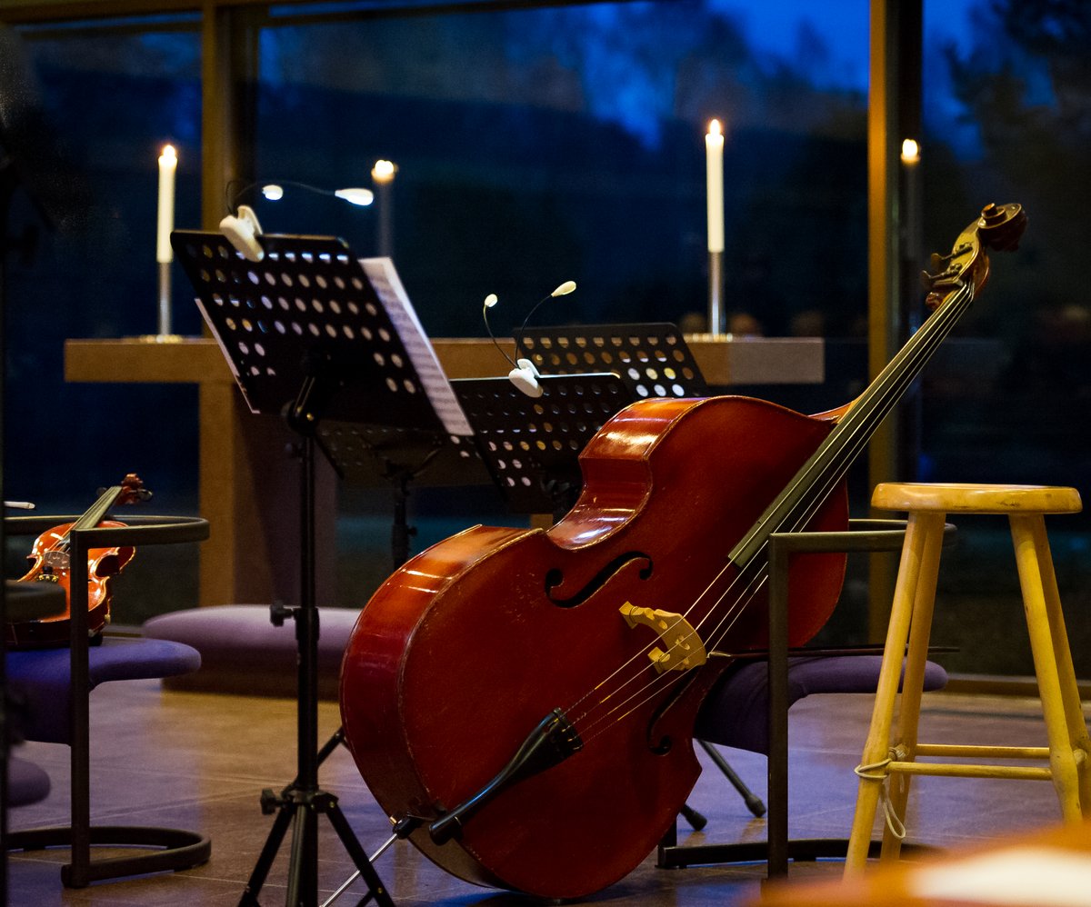 Cello och andra stråkinstrument i ett sal.