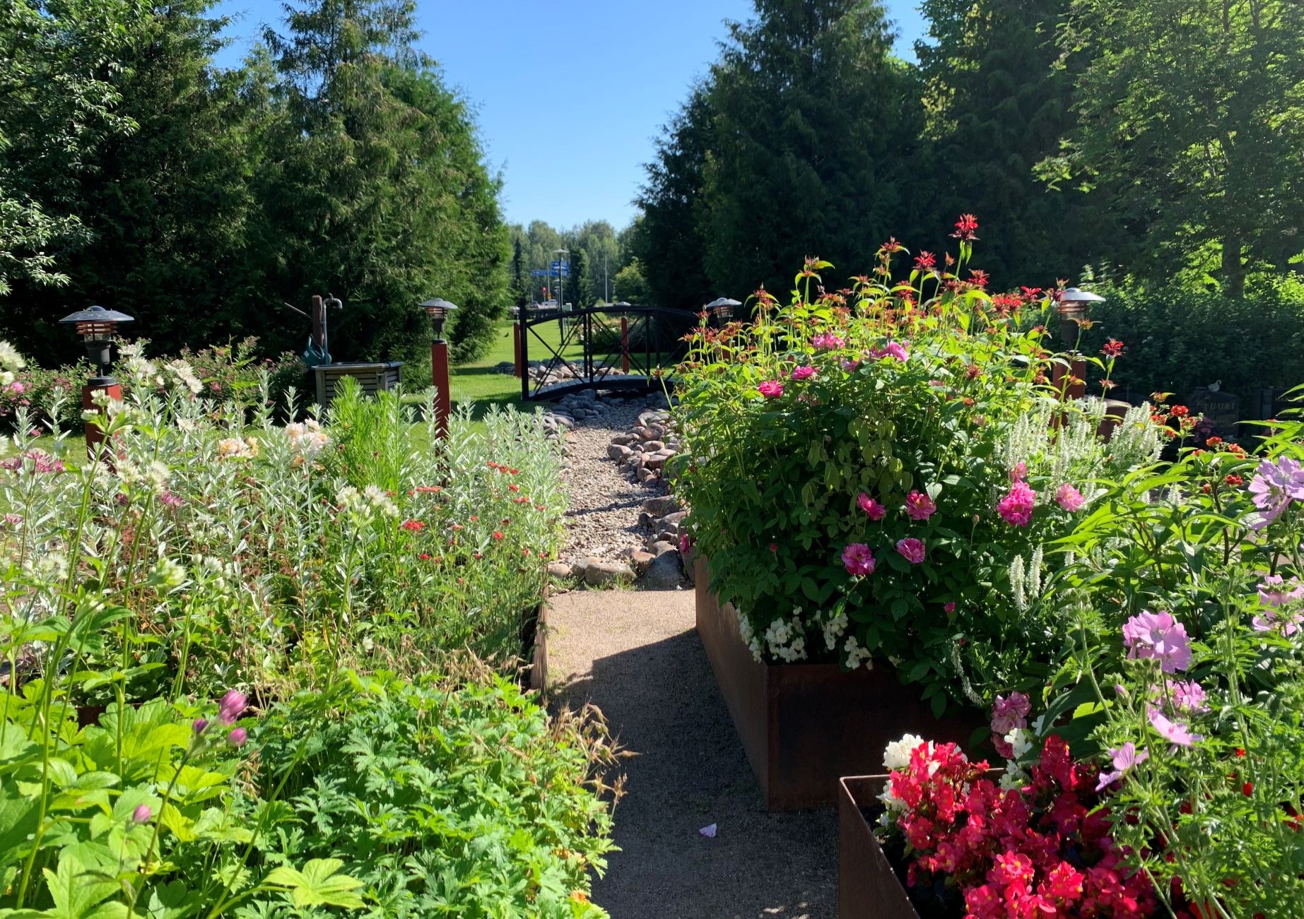 Blommor i en park.
