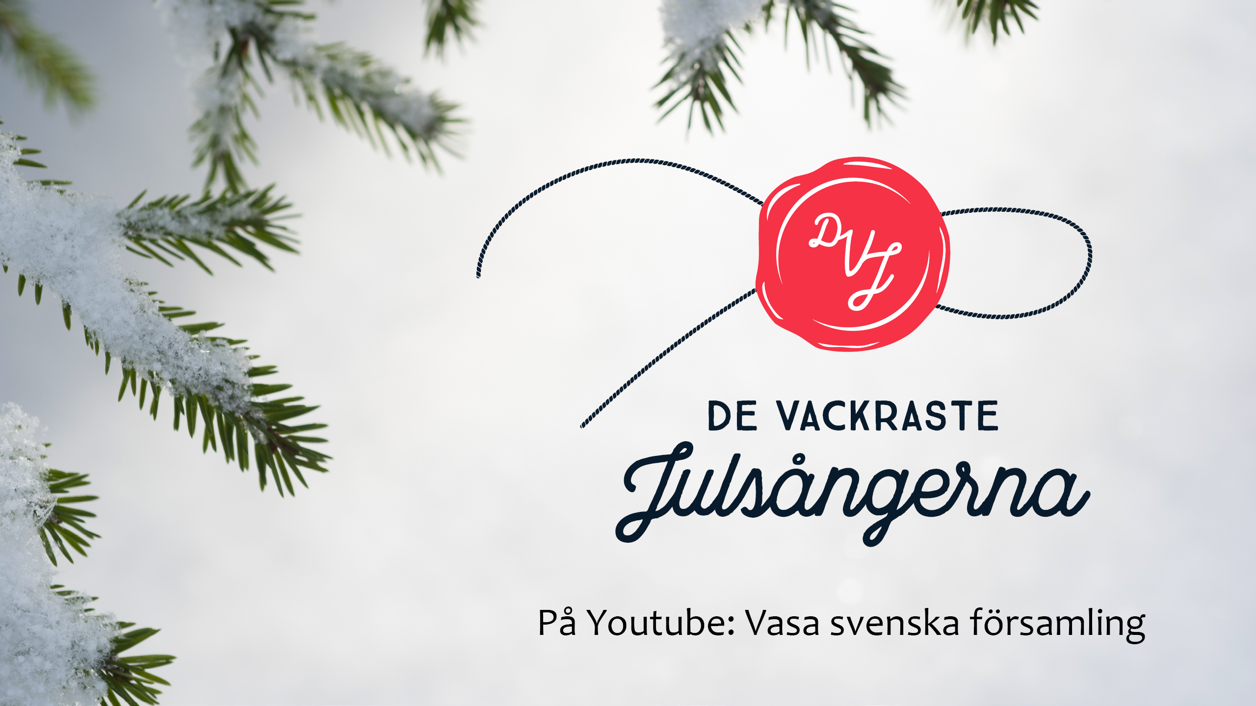 Snötyngd grankvist. Text: De vackraste julsångerna på Youtube: Vasa svenska församling.