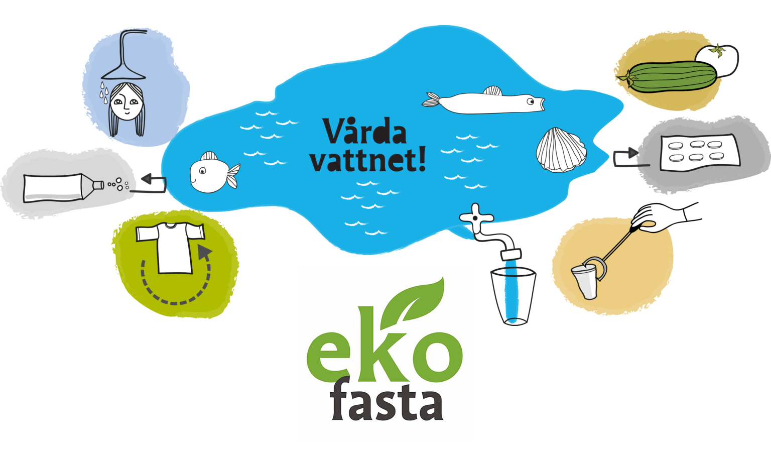Illustration av vatten i olka former såsom sjö, dusch, nappflaska. Text: Vårda vatten. Ekofasta.
