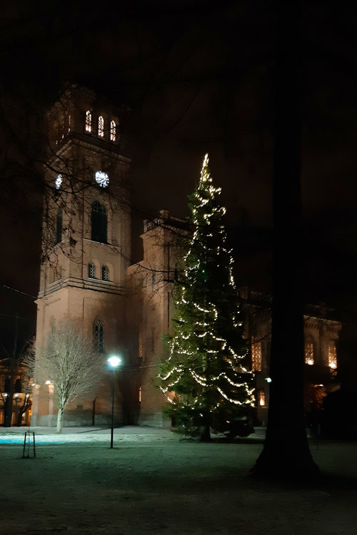 En upplyst julgran framför en röd tegelkyrka en mörk kväll eller morgon.