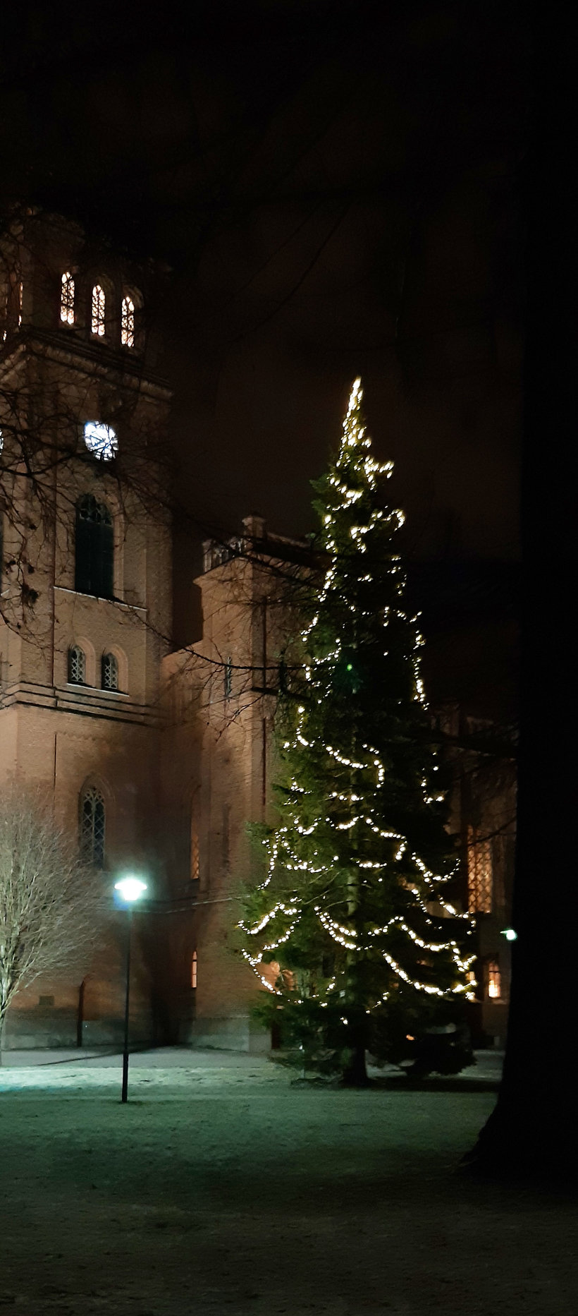 En upplyst julgran framför en röd tegelkyrka en mörk kväll eller morgon.