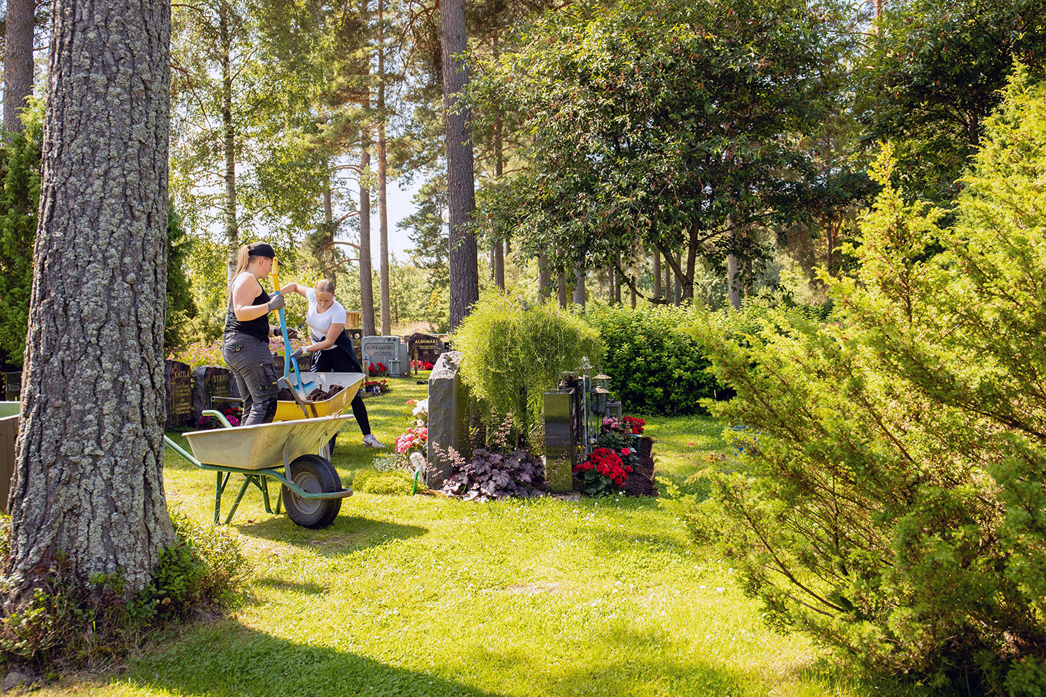 Två kvinnor arbetar på en grönskande gravgård.