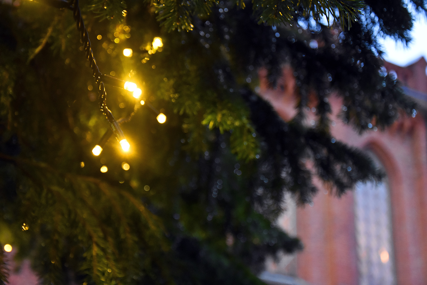 Julbelysning i en gran på utsidan av en röd tegelkyrka.