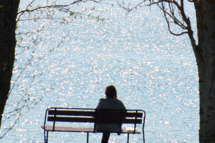 En människa sitter på en parkbänk och tittar ut över vatten.