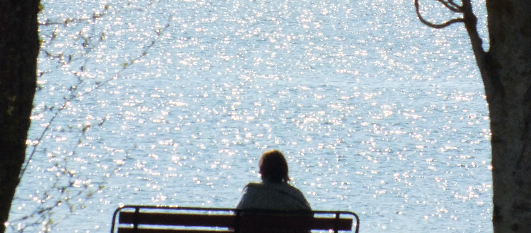 En människa sitter på en parkbänk och tittar ut över vatten.
