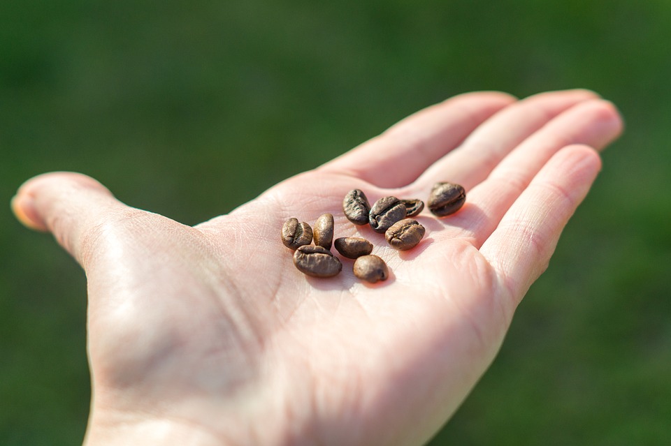grain-3218391_960_720.jpg
