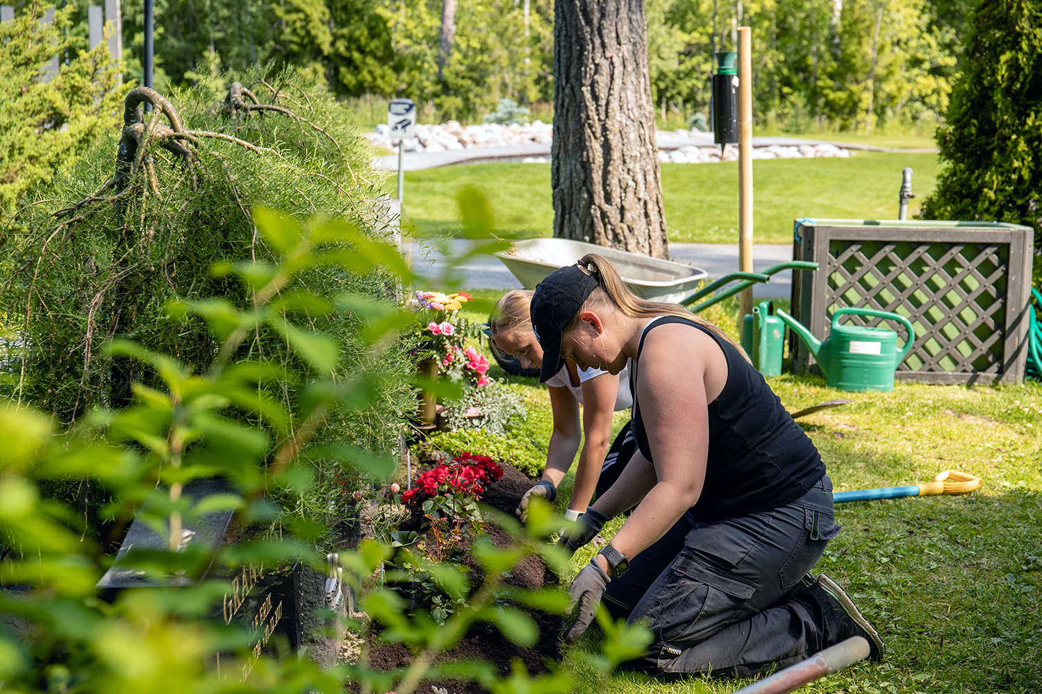Två kvinnor sitter på huk och rensar ogräs vid gravar.